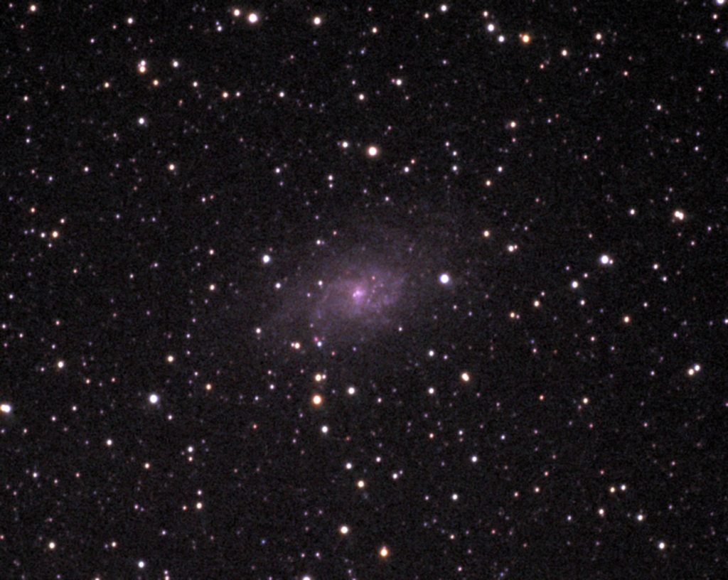 M 33